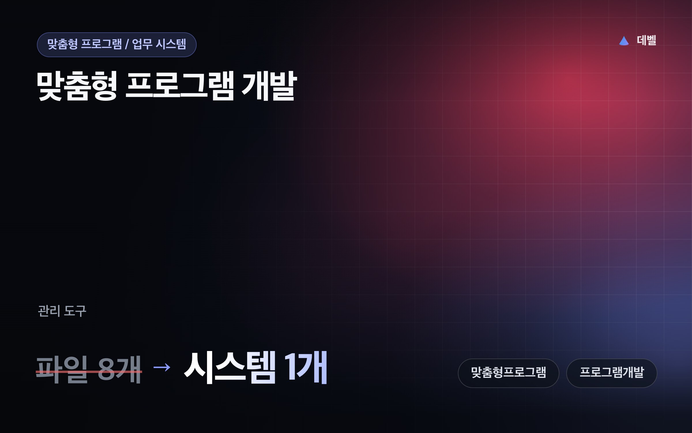 맞춤형 프로그램 개발